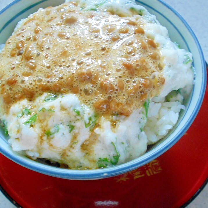 食欲のない日もｽﾞﾙｽﾞﾙいける！しそとろろ納豆丼